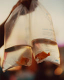 Strawberry Festival-bloc-9