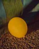 Strawberry Festival-bloc-2