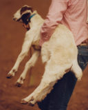 Oakville Youth Rodeo-bloc-8