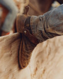 Oakville Youth Rodeo-bloc-12